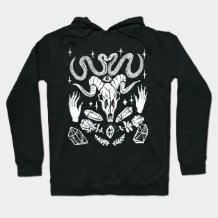 Snakes, Crystals, Witchy Hands Spell Goth Punk Hoodie